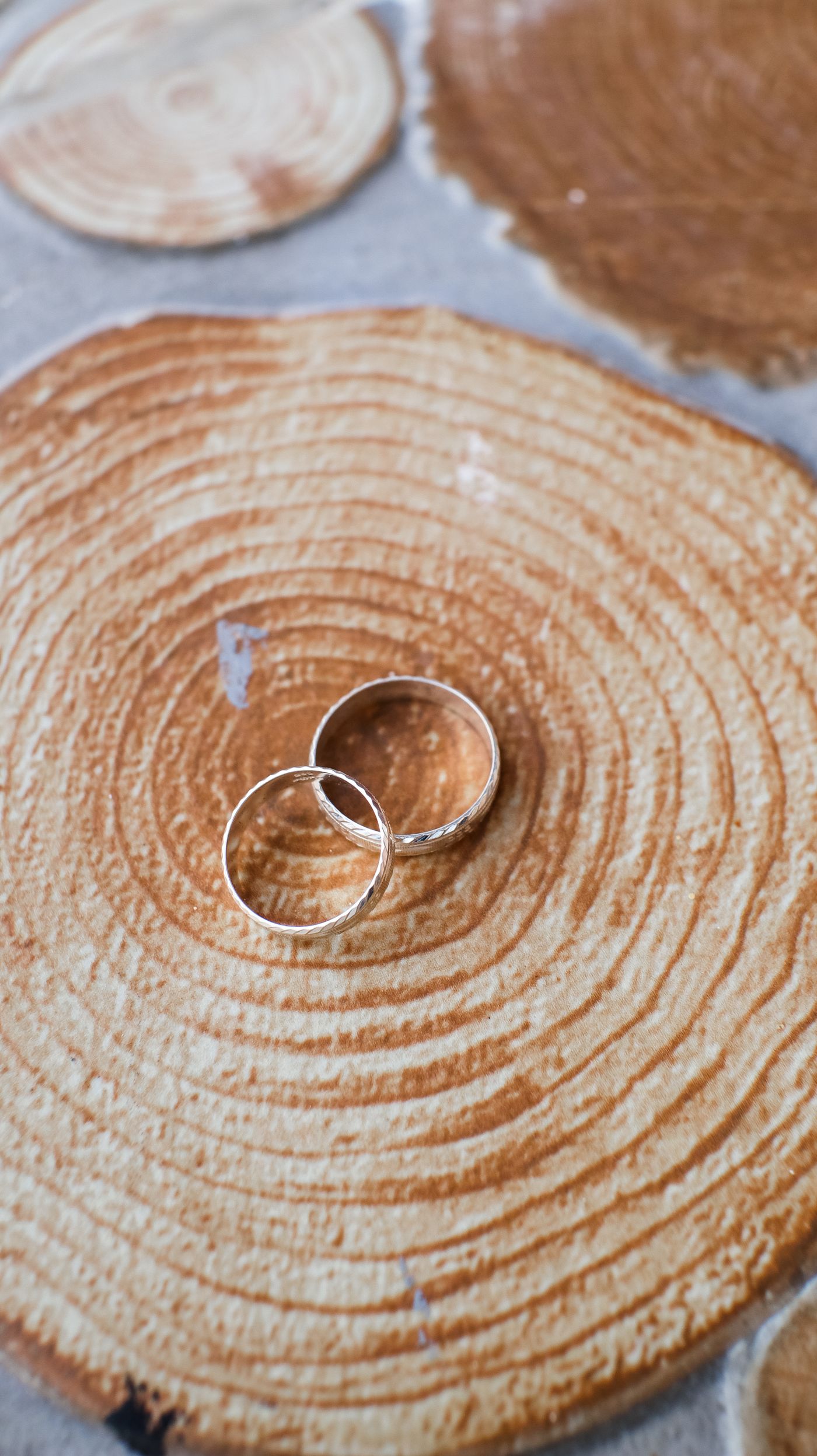 A pair of gold wedding rings on a wooden slice, illustrating Robb Stark’s marriage.
