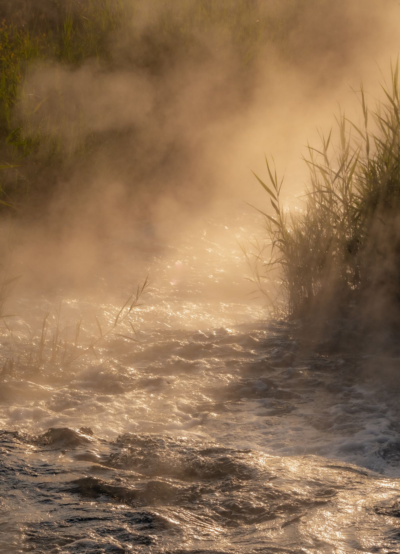 Mist rising from a quiet river at dawn, illustrating the unsettling silence surrounding Stoneheart.
