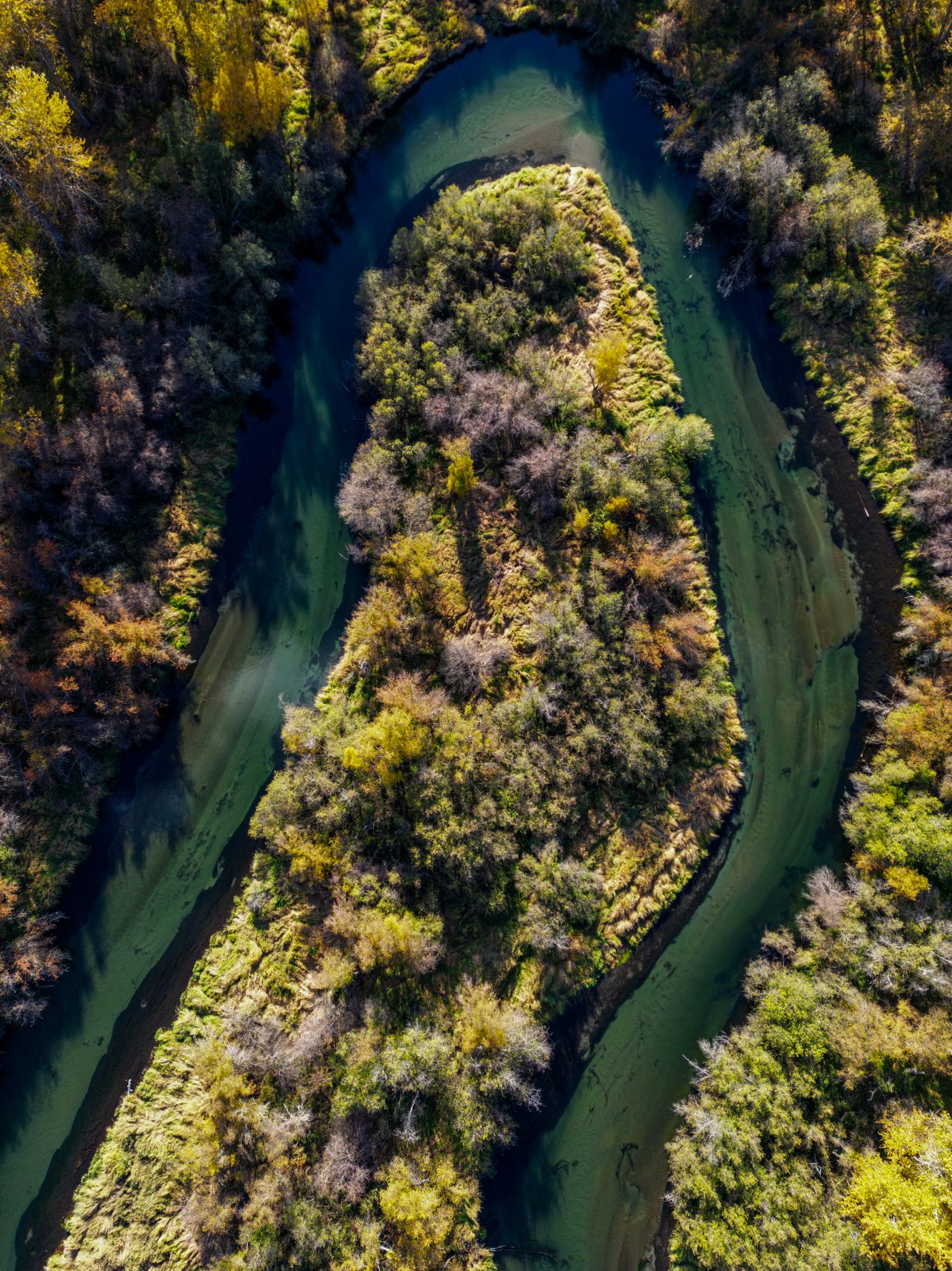 A river meandering through dense green forest, illustrating the Riverlands.