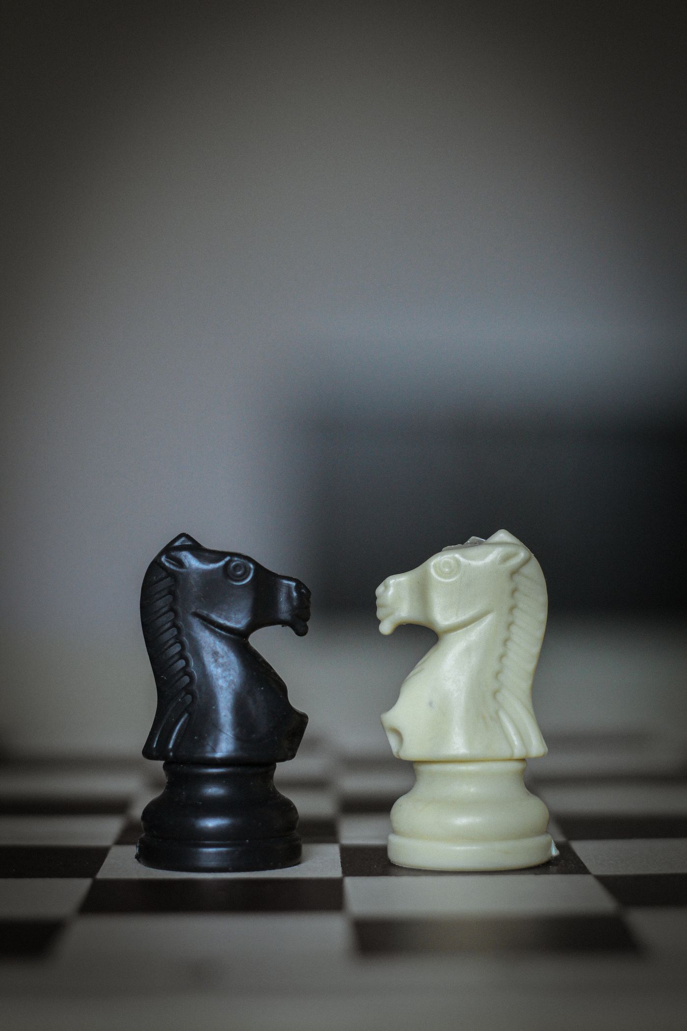 Black and white knights facing each other on a chessboard.