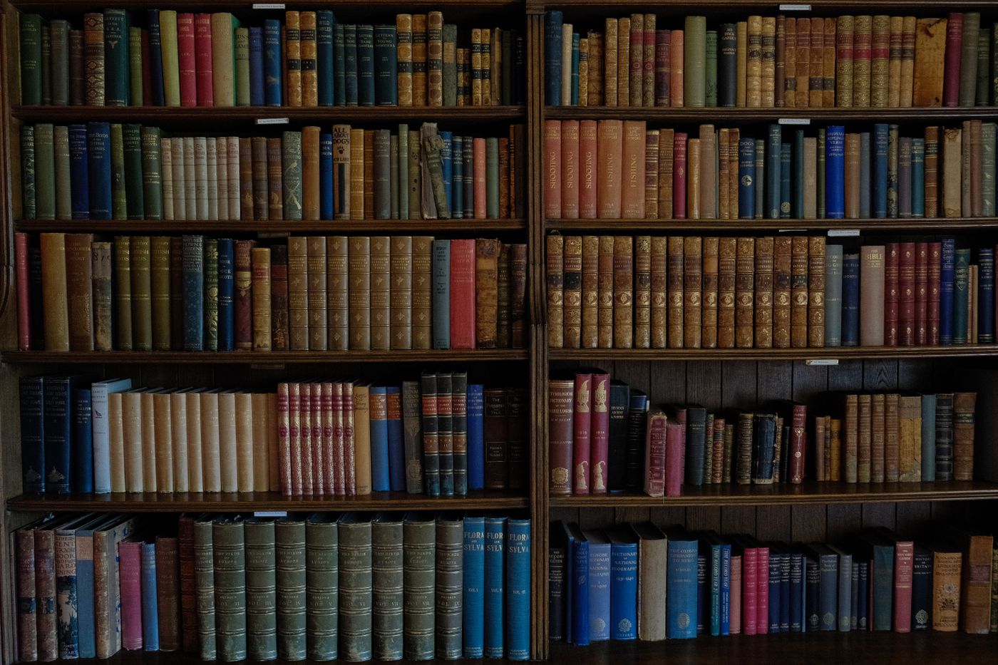 Old books arranged on wooden library shelves.